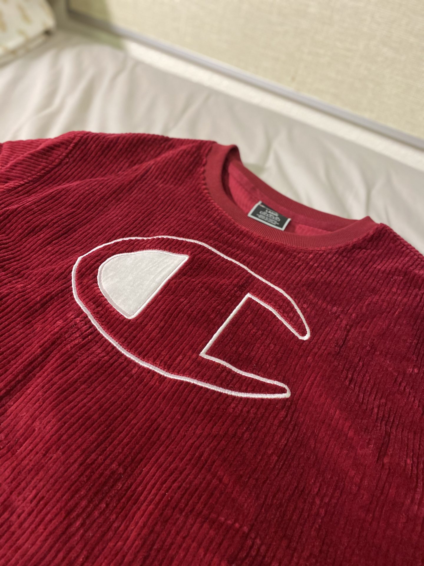 A review of Champion: the trendy sportswear brand - The Mossy Log