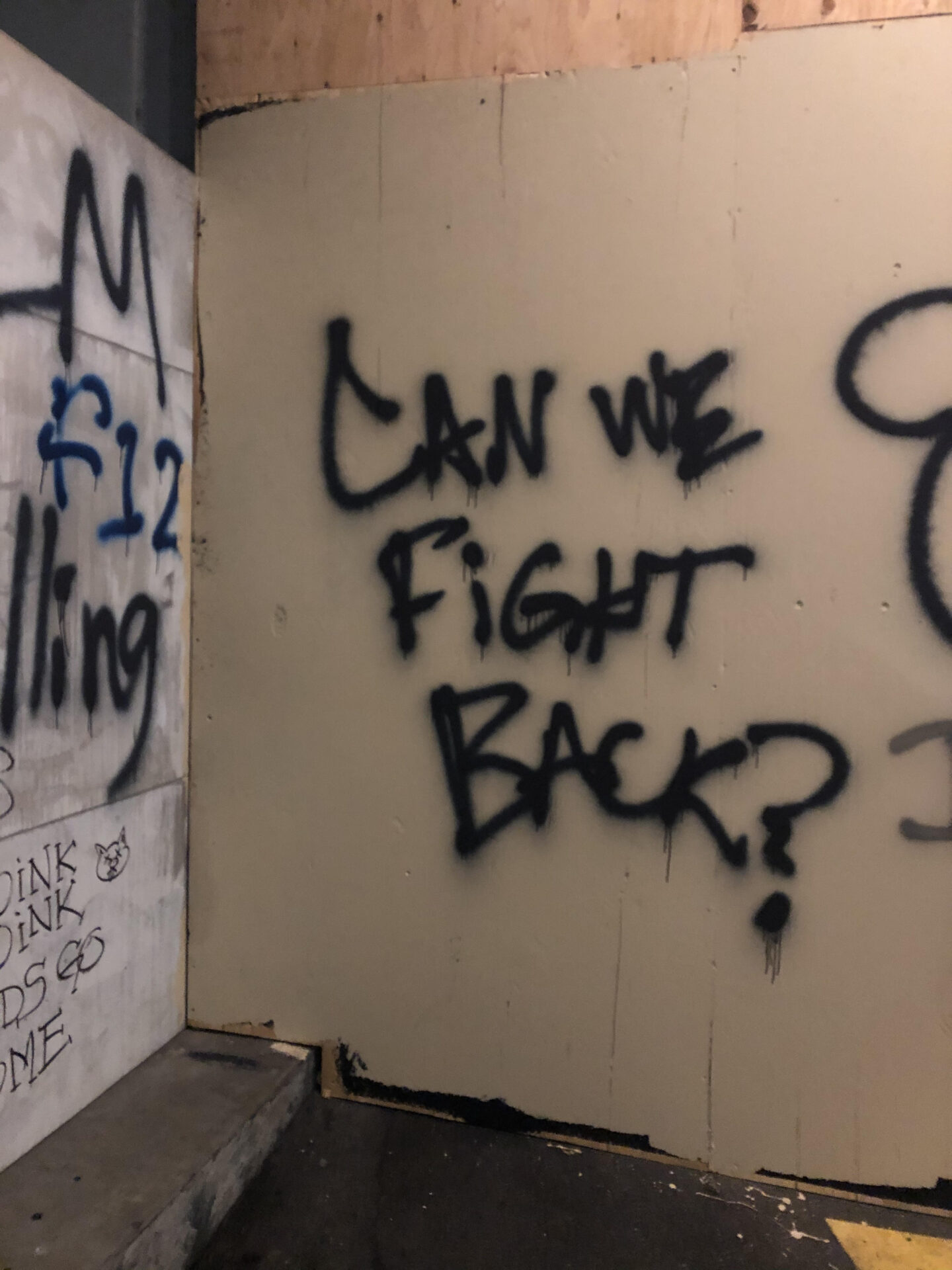 Photograph of the words "Can We Fight Back?" spray painted in black on a beige wall.