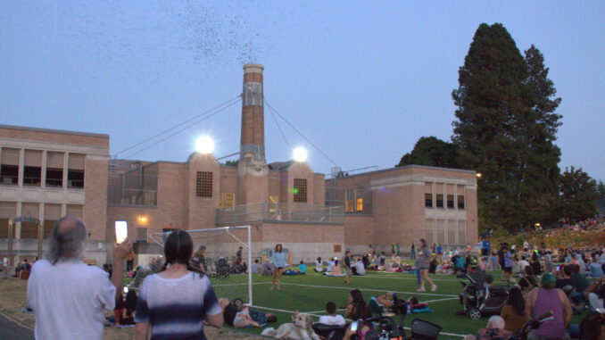 Crowd at Wallace park watches swifts roost in chimney