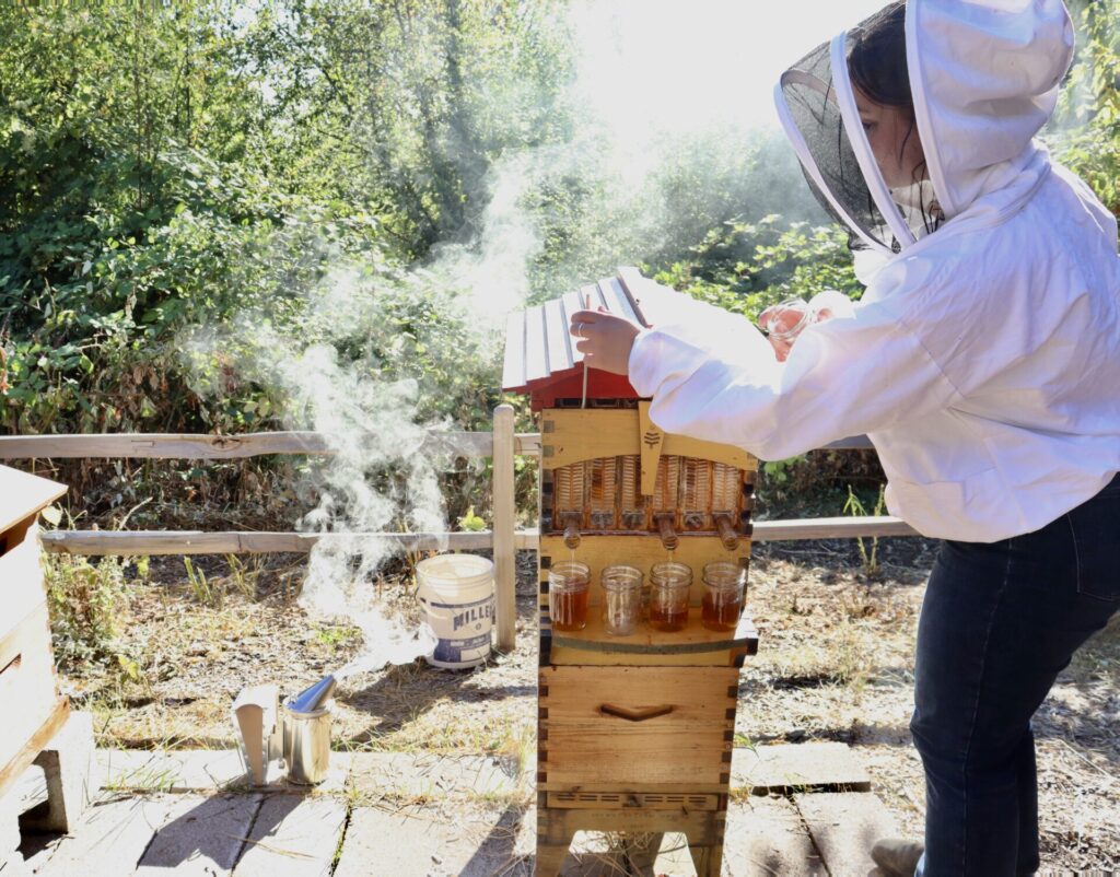 Student in beekeeping suit harvesting honey.