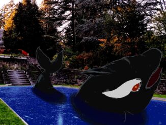 Illustration of an orca in the reflecting pool.
