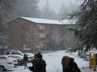 Person walking in front of howard residence hall during snowstorm