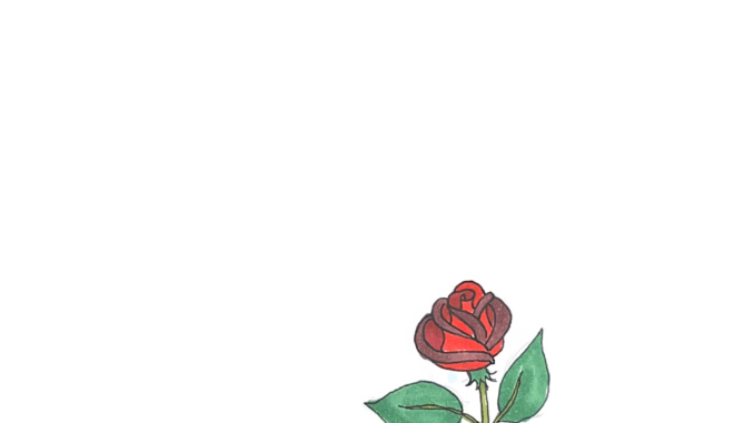 Illustration of a rose