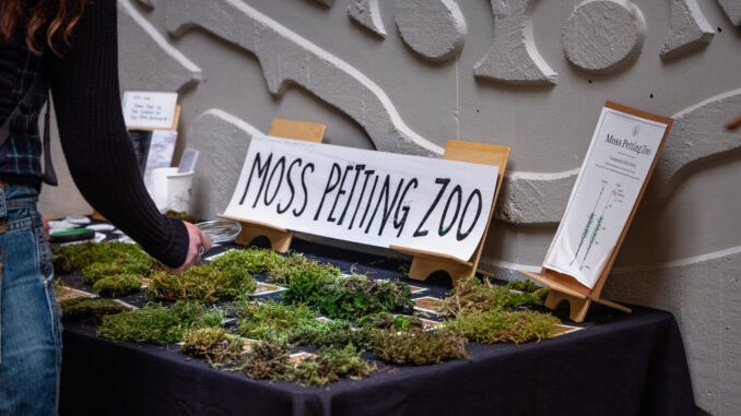 Photo of moss petting zoo
