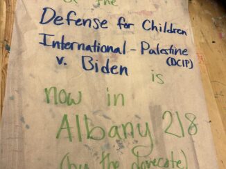 flyer advertising livestream of Defense for Children International - Palestine v. Biden hearing