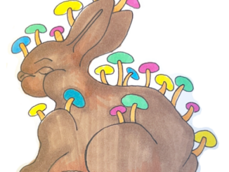 Illustration of chocolate Easter Bunny with multicolored mushrooms