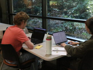 Two students working on their laptop