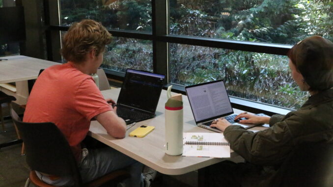 Two students working on their laptop