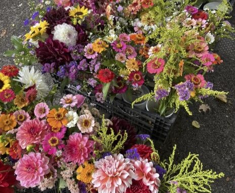 A photo of colorful flowers at the PSU farmer's market