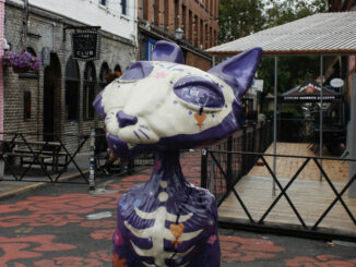 Photo of a cat sculpture; This "Cat" is purple and skeletal, one of the 30 scattered around Portland